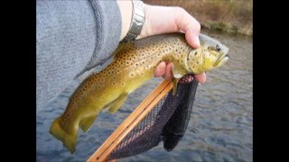 2015 Annual Fly Fishing Extravaganza Photo Montage [upl. by Erminie579]