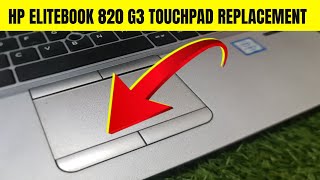 Hp EliteBook 820 G3 Touchpad Replacement  How to Replace Touchpad [upl. by Lipfert37]