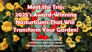 Meet The Trio 2025 Award Winning Nasturtiums That Will Transform Your Garden [upl. by Lainad]