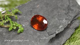 622ct Huge Cinnamon Color Hessonite Garnet  GemSelect Video Review [upl. by Ahtabbat]