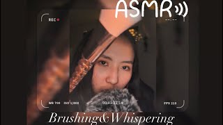 ASMR  Mongolian brushing ASMR  Relaxing amp Whispering [upl. by Samuella]