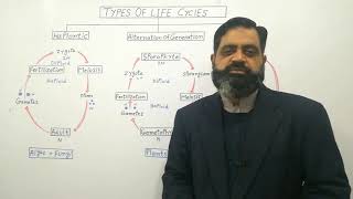 CBSE Class 11 Biology  Plant Life cycles and Alternation of Generation  By Shiksha House [upl. by Ennaillek]