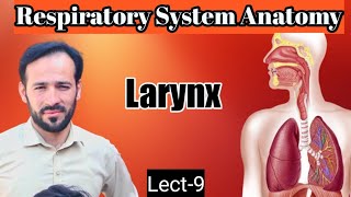 09 Anatomy of larynx  Larynx Anatomy  Membranes ligaments and muscles  Part1 [upl. by Atoiganap]