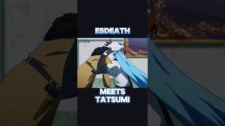 Esdeath x Tatsumi🩵 Akame Ga Kill anime animeedits highlights waifu animelover viral fyp [upl. by Hinch194]