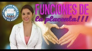 La Placenta Funciones [upl. by Aiotal]