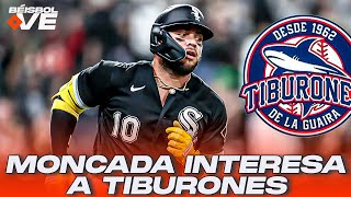 LVBP Tiburones interesados en Moncada y Ramos ¿Descartan a Ronald Acuña  DIAMANTE 23 BÉISBOL VE [upl. by Viridi607]