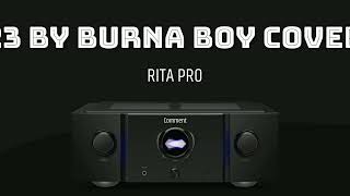 Burna Boy 23 Instrumental [upl. by Imef]