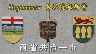 Canadas only Border City 跨省小城 Lloydminster  横贯加拿大自驾 D6 [upl. by Eislrahc159]