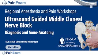 Ultrasound Guided Middle Cluneal Nerve Block and Diagnosis David Rosenblum MD NRAP PainExam [upl. by Idel]