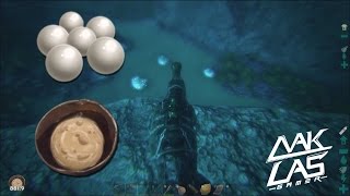 ARK  survival evolved ยาดำน้ำ ไข่มุก น้ำมัน EP 6 [upl. by Eyahs]