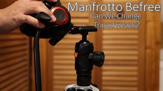 Manfrotto Befree Can We Change Tripod Heads [upl. by Ayrb417]