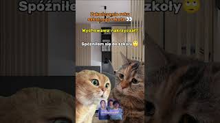 zakonczenie roku meme viral cat [upl. by Dloniger911]