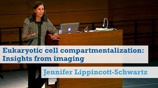 Eukaryotic cell compartmentalization Insights from imaging Jennifer LippincottSchwartz [upl. by Nennek]