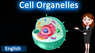 Cell Organelles  3D animated explanation  class 9th  the fundamental unit of life [upl. by Laehpar]