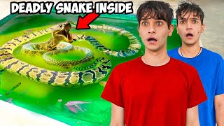 We Caught the Deadly Snake Attacking Our Fish [upl. by Ayaet]