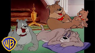 Tom amp Jerry  Best of Spike 🐶  Classic Cartoon Compilation  wbkids​ [upl. by Janel]