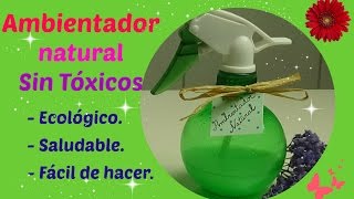 Cómo hacer un ambientador natural casero sin tóxicos ecológico saludable y fácil de hacer [upl. by Prospero732]