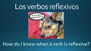 Spanish Reflexive Verbs A Better Way to Understand Them [upl. by Anos]