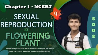 Agent of Pollination amp Outbreeding Device • Sexual Reproduction In flowering Plants • Class 12 NCERT [upl. by Leseil]