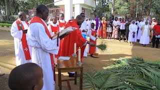 NYIMBO TAMU ZA SIKU YA MATAWI \\ PALM SUNDAY SONGS [upl. by Schiff862]