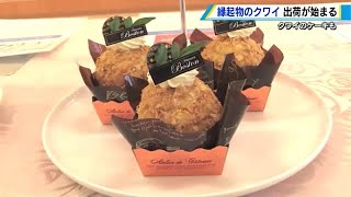 【広島を楽しもう！】福山の特産クワイを使った「クワイケーキ」登場 来春の販売目指す 広島 [upl. by Ojimmas]