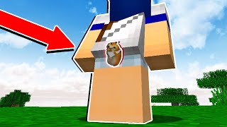 ESSE HAMSTER É INTOCAVEL FIND CHOMIKS MINECRAFT [upl. by Harvard197]