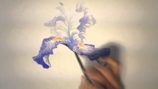 Un iris à laquarelle watercolor tutorial [upl. by Bergquist]