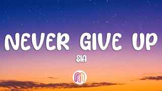 Sia  Never Give Up Lyrics [upl. by Philipines]