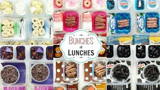 Colorful School Lunch Ideas for KIDSWhat They Ate  K 1st grade 2nd Grade  BUNCHES of LUNCHES [upl. by Matthews]