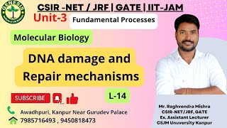 DNA damage and Repair mechanisms  Double Strand Break Repair  NHEJ  HLR  L14 [upl. by Lucais]