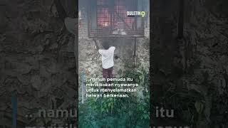 Rumah terbakar pemuda gadai nyawa selamatkan arnab [upl. by Atiek5]