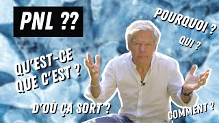 quotPNLquot  mais quest ce que cest [upl. by Llenral]