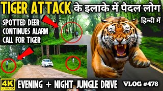 Tiger Attack वाले इलाके में पैदल लोग ❌😱  Spotted Deer Alarm Call For Tiger 🦌🐅  Alert From Wildlife [upl. by Zonda]