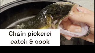 Chain Pickerel Catch amp Cook  Nova Scotia fishing [upl. by Easlehc758]