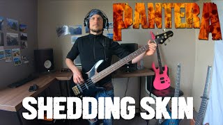 Pantera  Shedding skin  Bass cover [upl. by Clarisse]