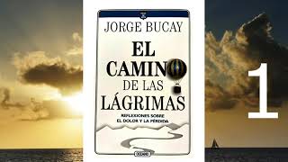 EL CAMINO DE LAS LAGRIMAS JORGE BUCAY [upl. by Esil]