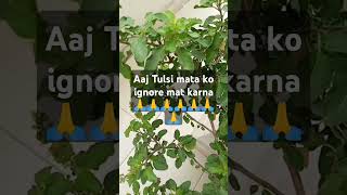 Kahne ko jashne bahara hai tulsi matasongviraltrendin [upl. by Raffo]