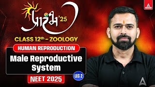 HUMAN REPRODUCTION CLASS 12 NEET 2025  MALE REPRODUCTIVE SYSTEM  प्रारंभ SERIES  BY VISHAL SIR 2 [upl. by Tarra]