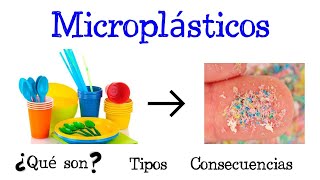 🌐 ¿Qué son los Microplásticos 🌐 Tipos y Consecuencias Fácil y Rápido  QUÍMICA [upl. by Borries]