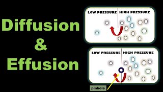 Diffusion and Effusion of Gases Definition Examples and Difference  State of Matter Gaseous State [upl. by Dickerson238]