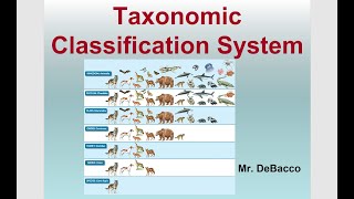 Taxonomic Classification [upl. by Nerret]