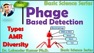 Bacteriophage based bacterial detection  Phage  Phage Detection  Basic Science Series [upl. by Soloma]