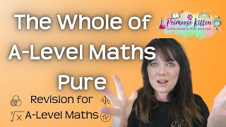 The Whole of A Level Maths  Pure  Revision for AQA Edexcel OCR AND WJEC [upl. by Eyaj]