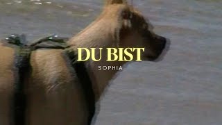 SOPHIA  Du bist Visualizer [upl. by Pall682]