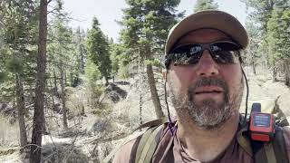 PCT 2024 Hiking Day 20 [upl. by Vezza493]