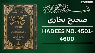 Sahih Bukhari Hadees No 4500 To 4600  Hadees in Urdu  Sahih Bukhari Hadees [upl. by Hengel]