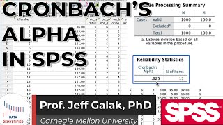 Cronbachs Alpha and Reliability Analysis in SPSS SPSS Tutorial Video 24 [upl. by Eniaj]