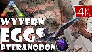 🔥 Stealing Wyvern Eggs Using Ptera  ARK Ragnarok [upl. by Sajet]