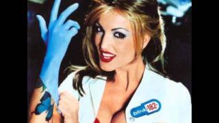 blink182  Whats My Age Again vocals [upl. by Arised38]