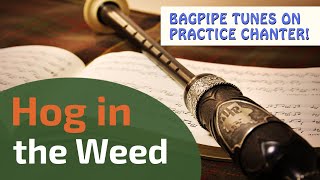 Hog in the Weed  Bagpipe Tunes on Practice Chanter ⭐⭐⭐⭐⭐ [upl. by Massimo624]